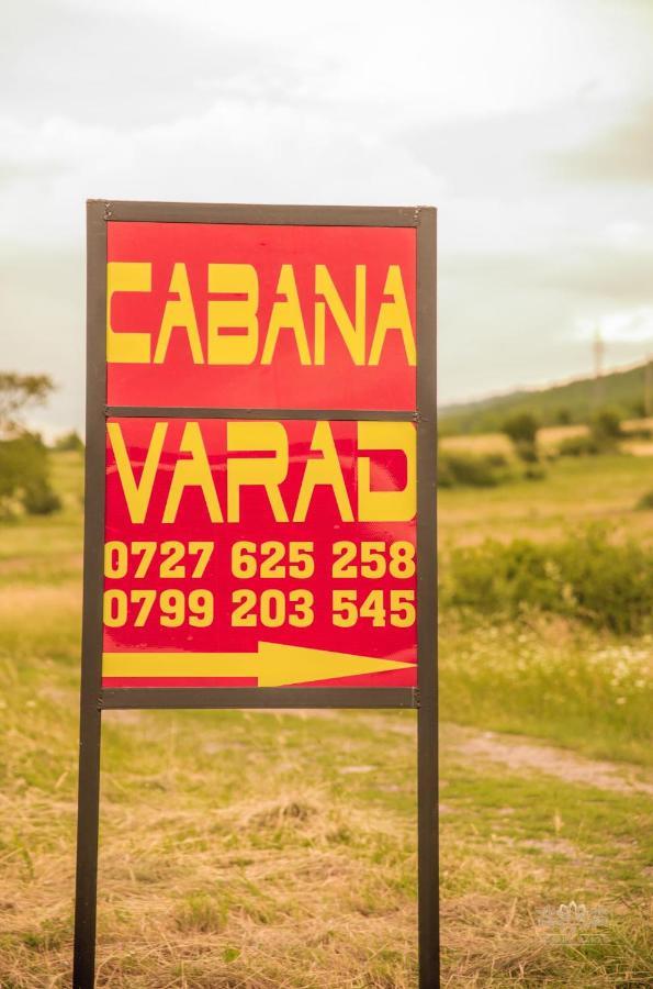 Cabana Varad Coronini Moldova Veche Buitenkant foto